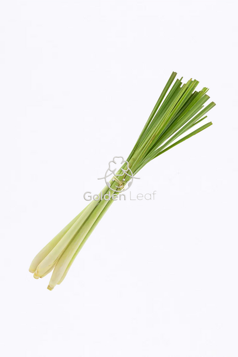 Lemon Grass (Fresh)