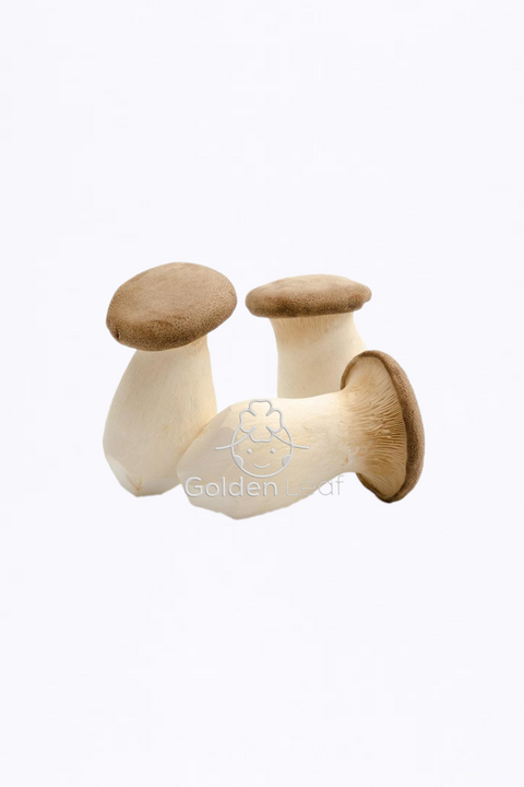 King Oyster Mushroom (2x2kg) - Korea