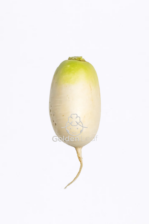 Korean Radish 韩国萝卜 - Yuan