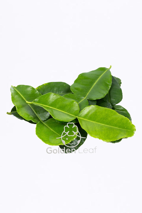 Lime Leaf (Kaffir) - Pack