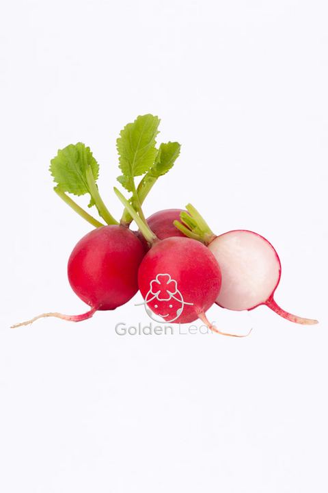 Radish (Red)